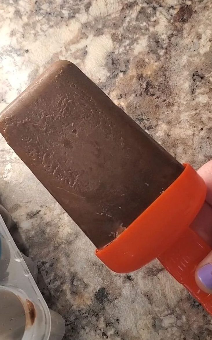 2 Ingredient Fudgesicles