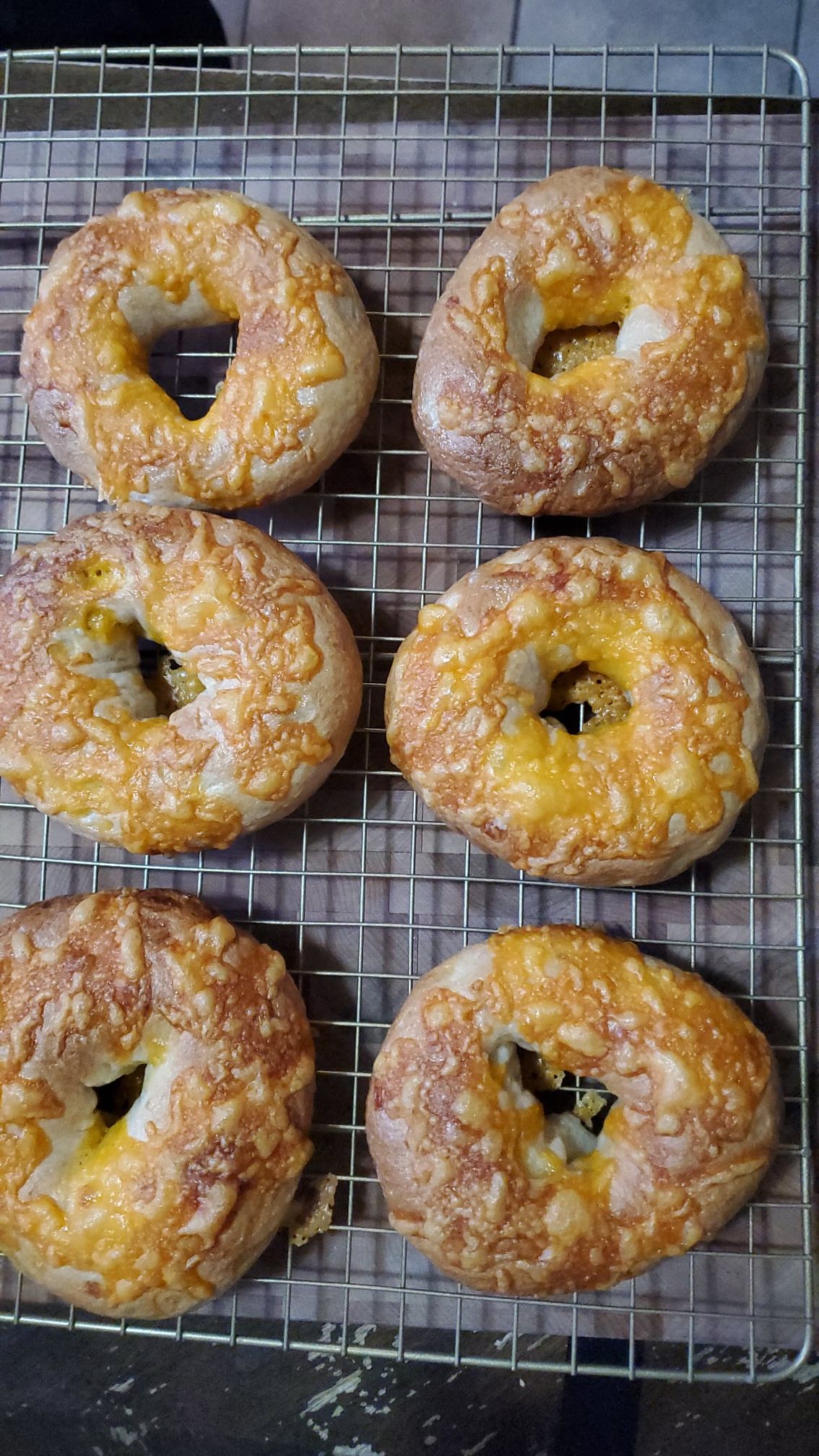 Cheddar Cheese Bagels