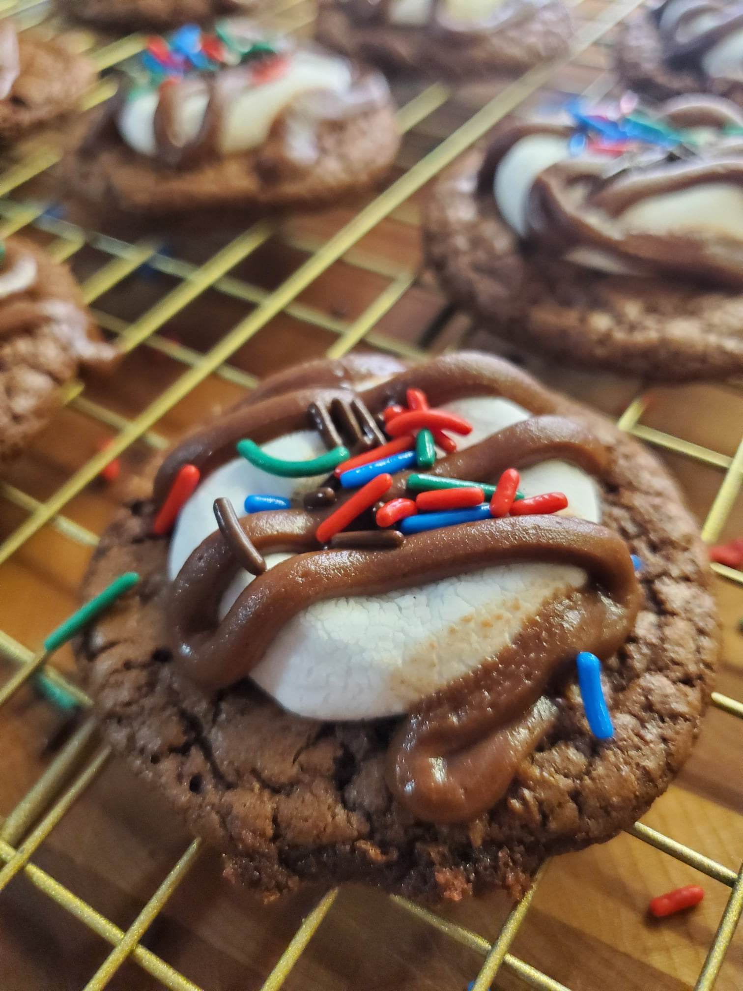 Hot Cocoa Cookies