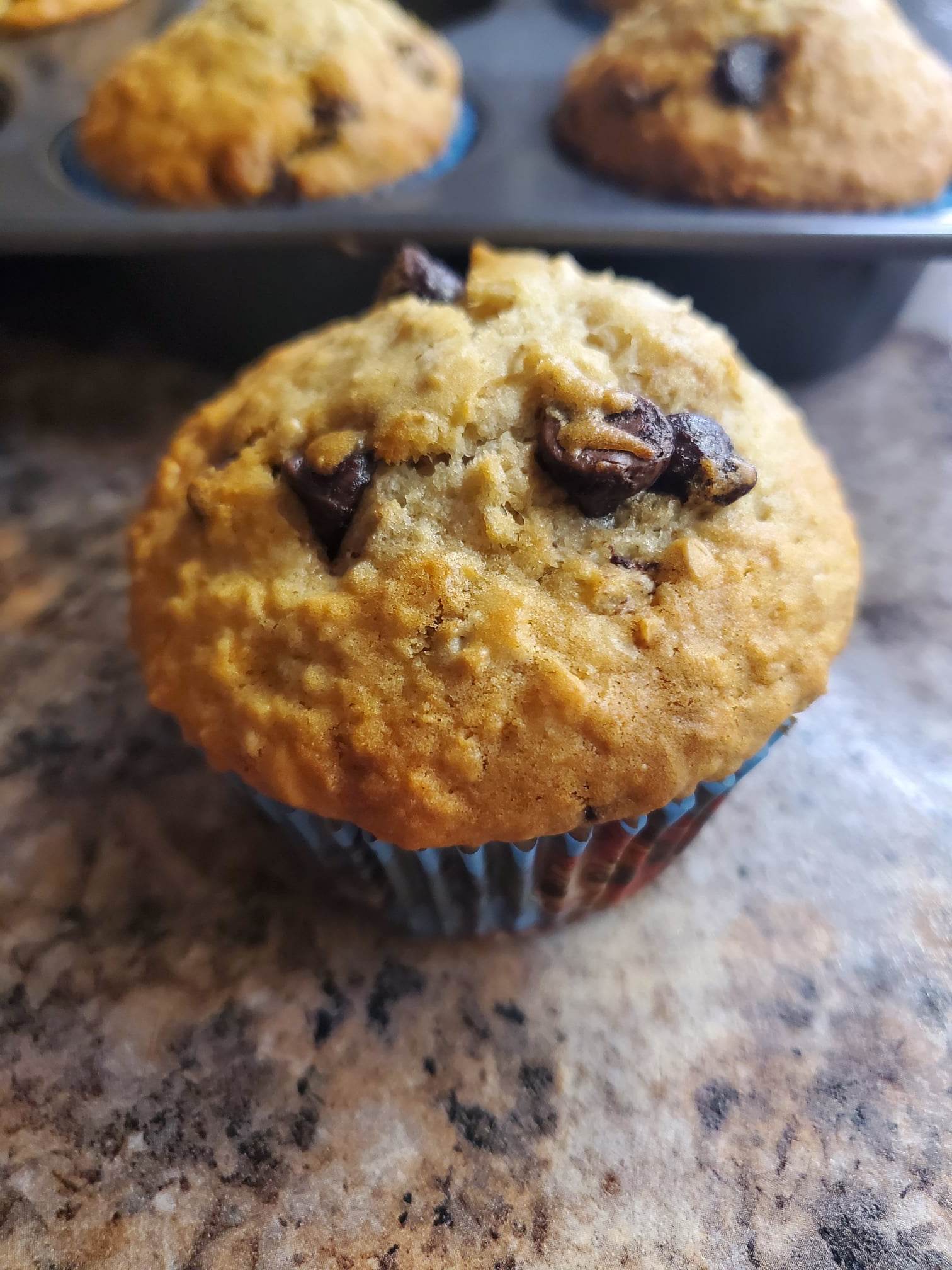 Oatmeal Chocolate Chip Muffins